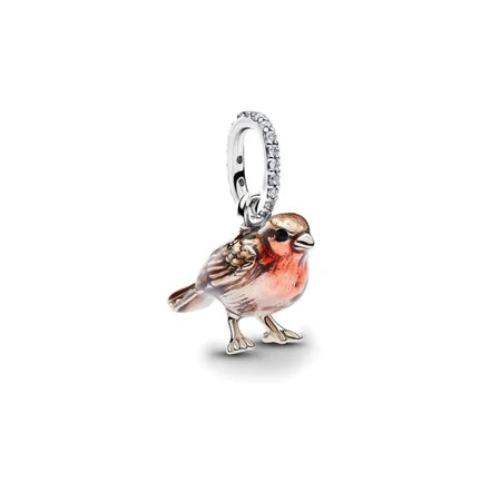 Charm Colgante Robin de plata 925